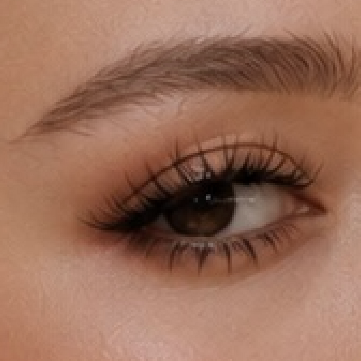 C° Theory | Hybrid Wispy